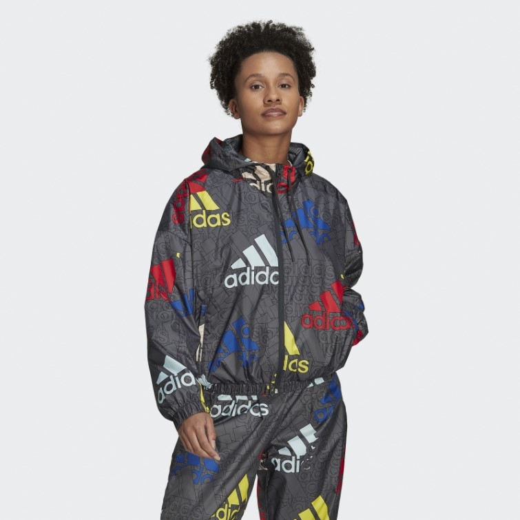 Coupe-vent Ample Adidas Essentials Logo Multicolore Carbone