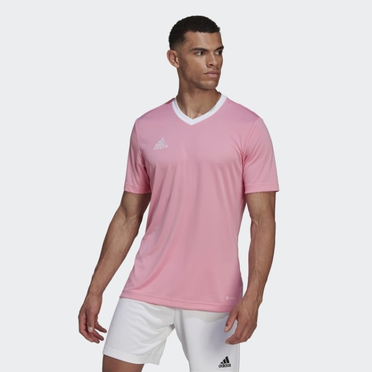 Lueur Rose