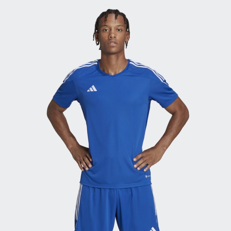 Bleu Roi/blanc