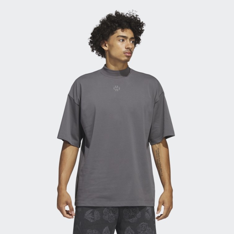 Harden T-shirt De Voyage Adidas Gris