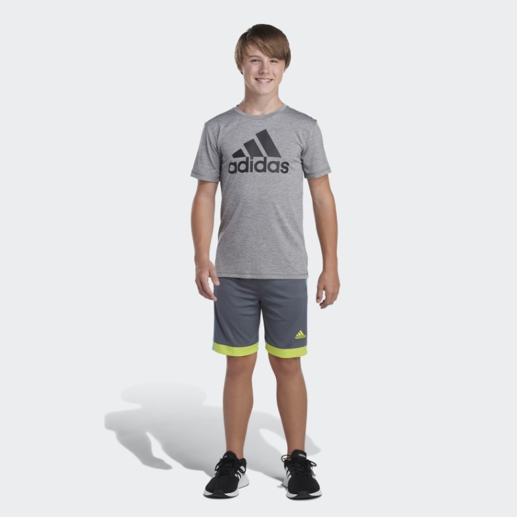 Short Gagnant Adidas Gris Vert