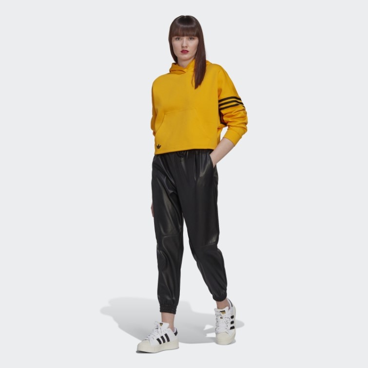Adidas Adicolor Neuclassics Sweat à Capuche Or