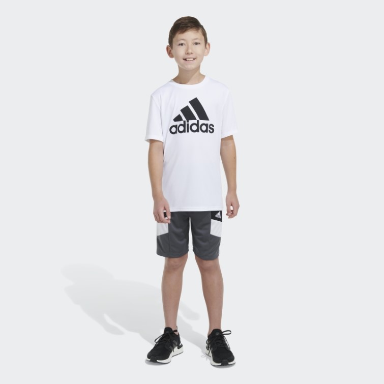 Short Adidas Winner Gris Moyen 23