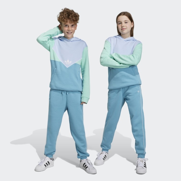Adidas Jogging Adicolor Bleu