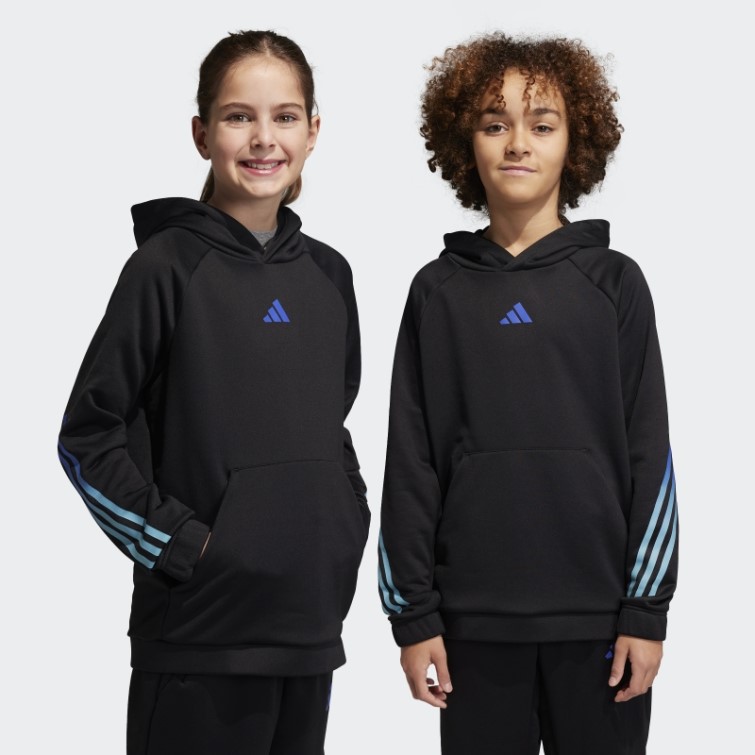 Sweat à Capuche Adidas Train Icones Aeroready 3 Bandes Noir