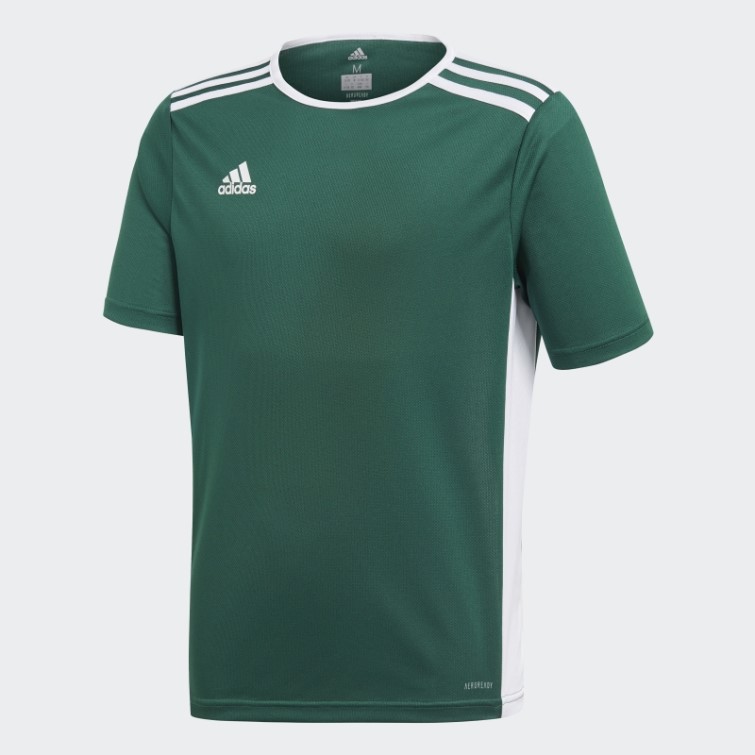 Maillot Adidas Entrada Vert