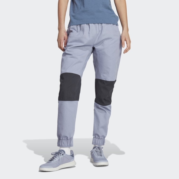 Pantalon Five Ten Felsblock Climb Violet Argent Adidas