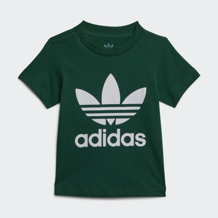 Vert Foncé