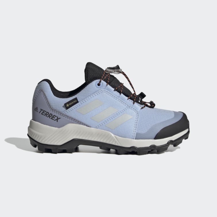 Bleu Aube Adidas Terrex Gore-tex Chaussures De Randonnée