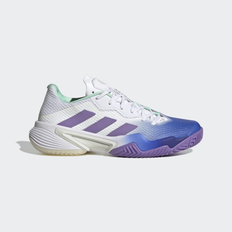 Bleu/violet/menthe