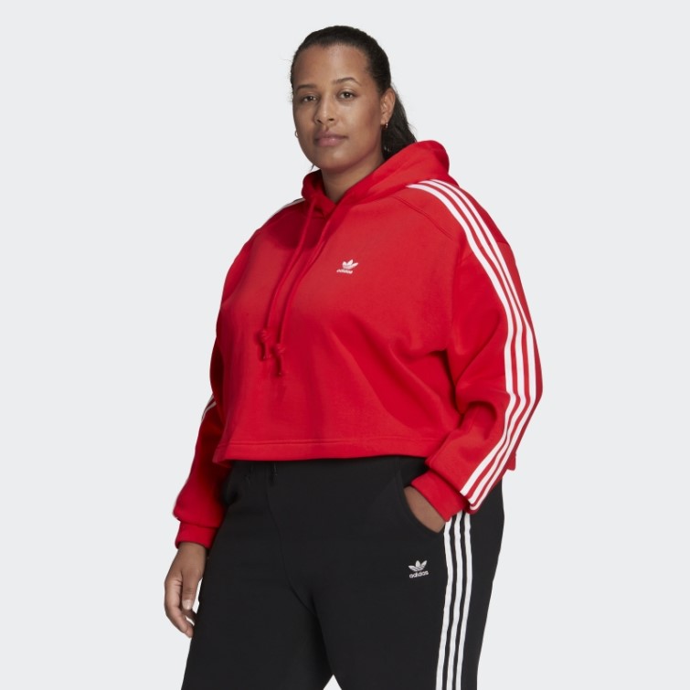 Sweat à Capuche Adicolor Classics (taille Plus) Rouge Adidas