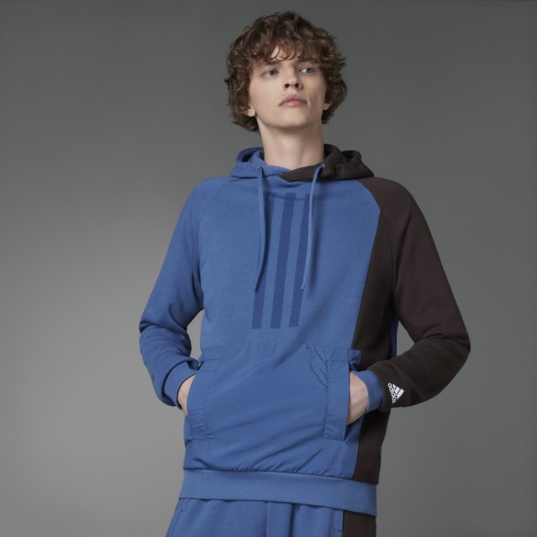 Sweat à Capuche En éponge Colorblock Acier Adidas Fashion