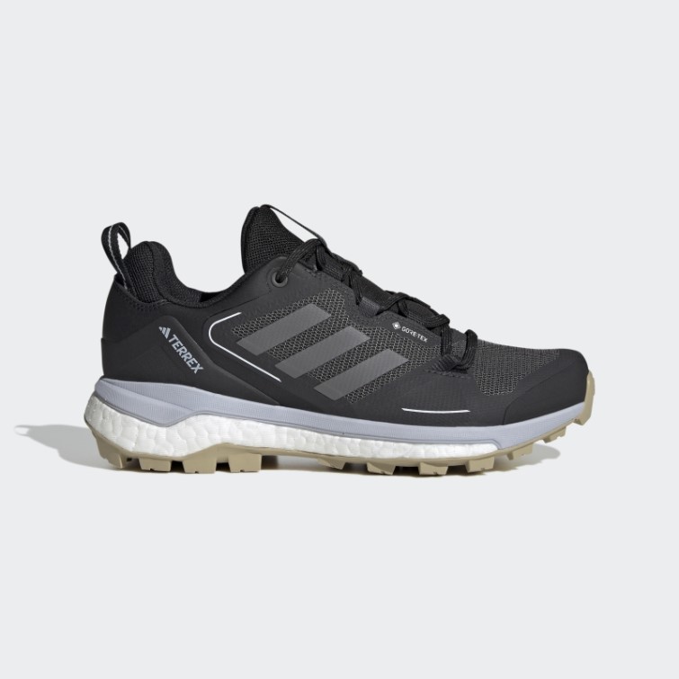Chaussures De Marche Adidas Terrex Skychaser 2.0 Gore-tex Noir