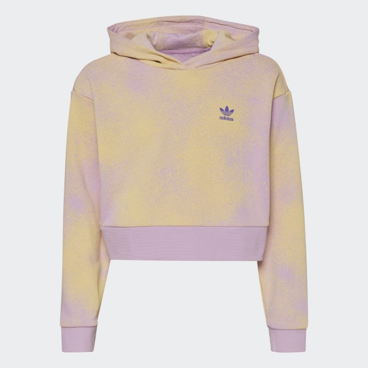 Sweat à Capuche Court Imprimé Graphique Lilas Adidas