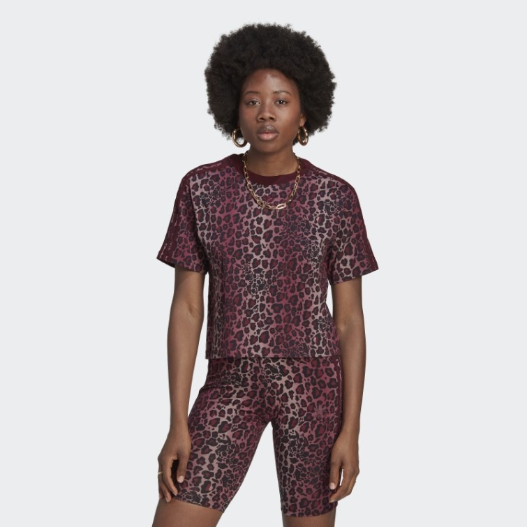 Marron/multicolore