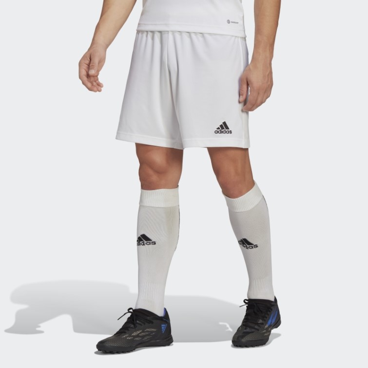 Entrada 22 Short Adidas Blanc