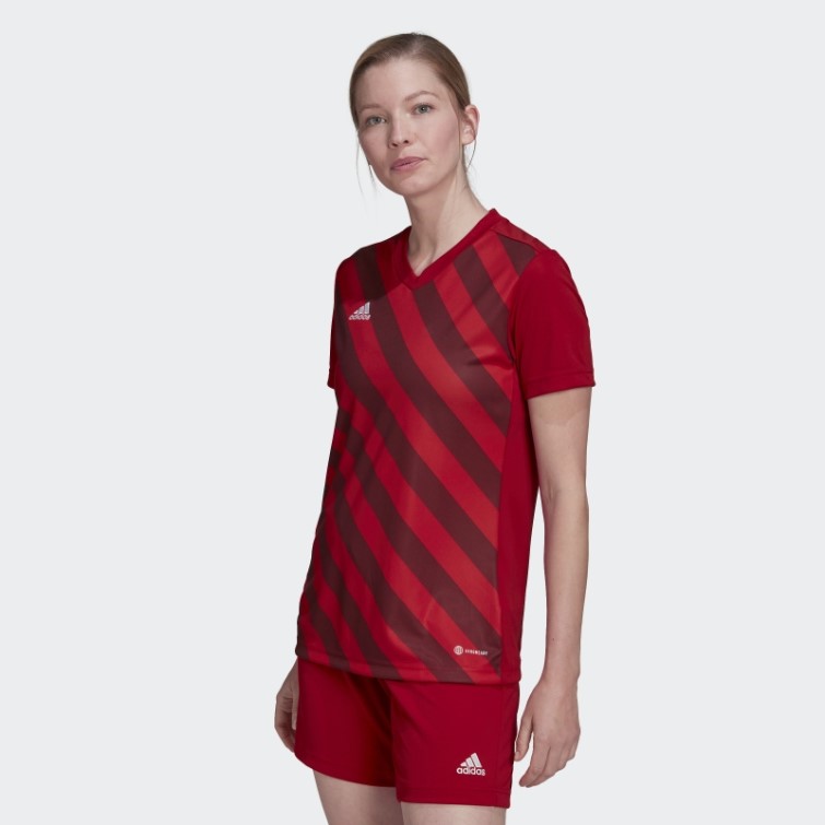 Maillot Graphique Entrada 22 Rouge Adidas
