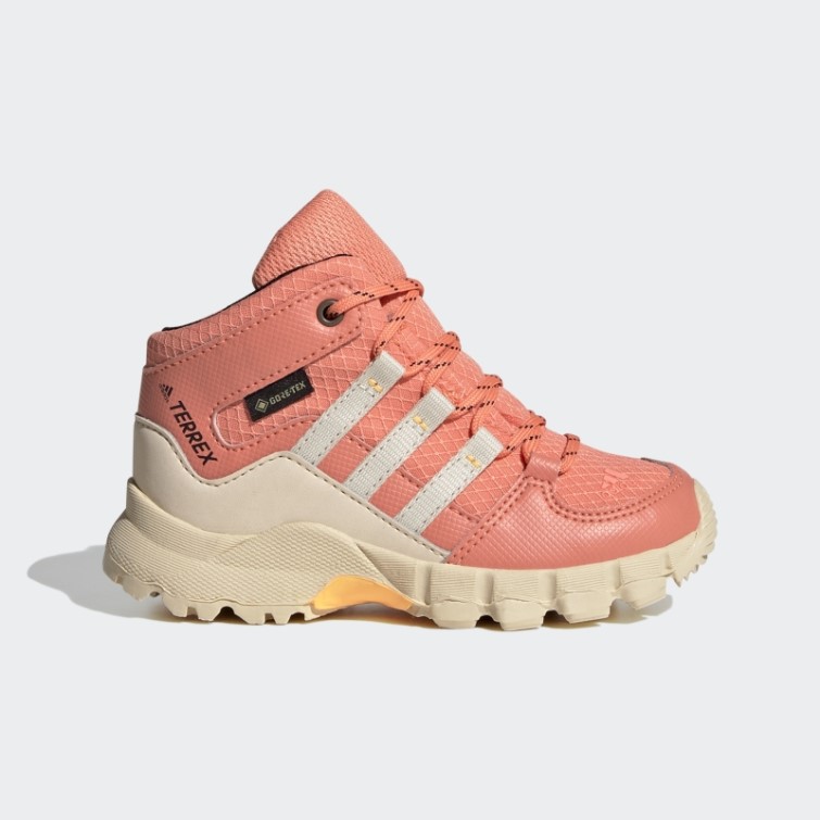 Adidas Terrex Mid Gtx Chaussures Corail