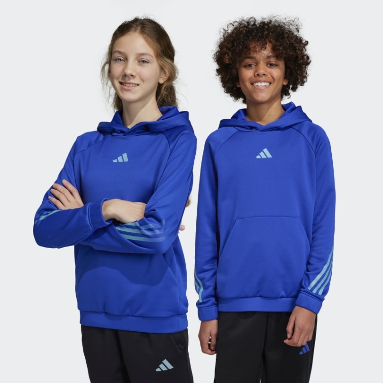 Sweat à Capuche Adidas Train Icones Aeroready 3 Bandes Bleu