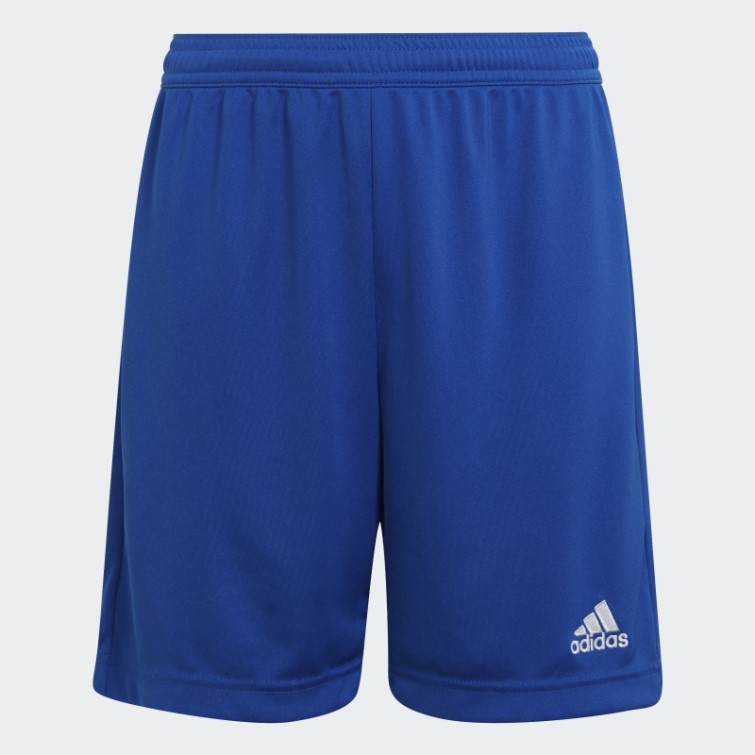 Bleu Royal