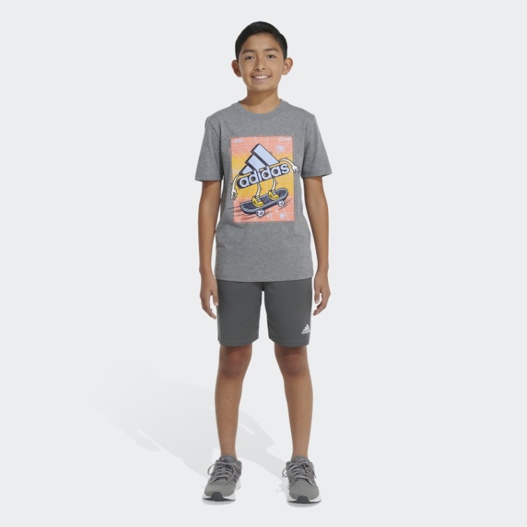 Adidas Chiné Skater Badge Of Sport Tee Gris Moyen