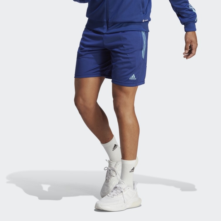 Victoire Bleu