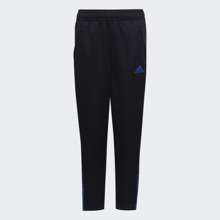 Noir/bleu Roi
