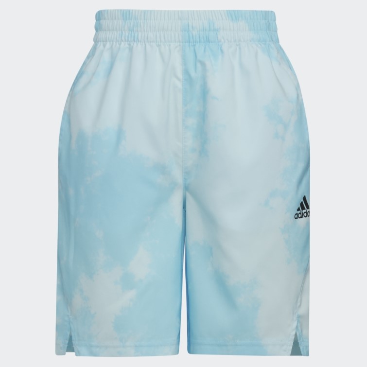 Adidas Axe Short Tissé Bleu