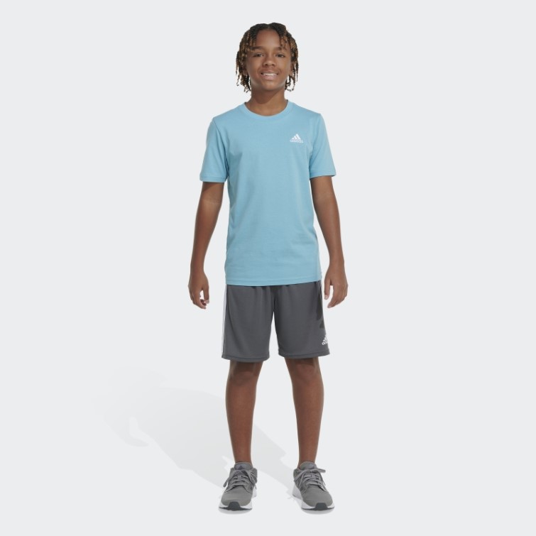Mls-tfs-to5