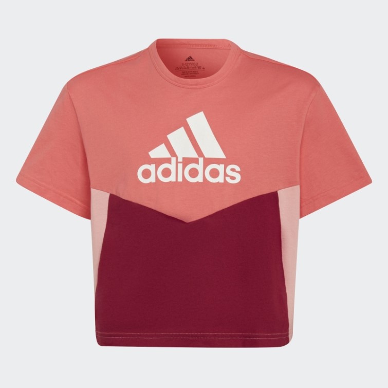 Turbo/bordeaux/blanc