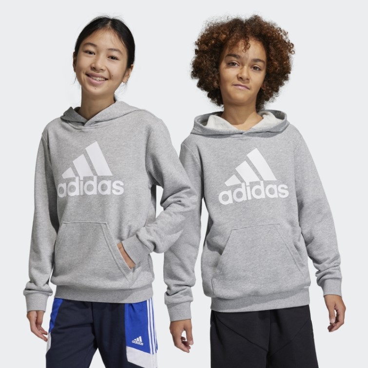 Adidas Sweat à Capuche En Coton Gris Moyen Gros Logo Essentials