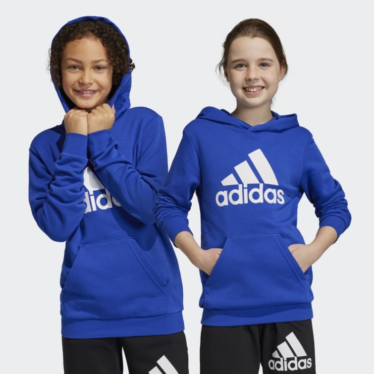 Sweat à Capuche Bleu Adidas Gros Logo Essentials En Coton
