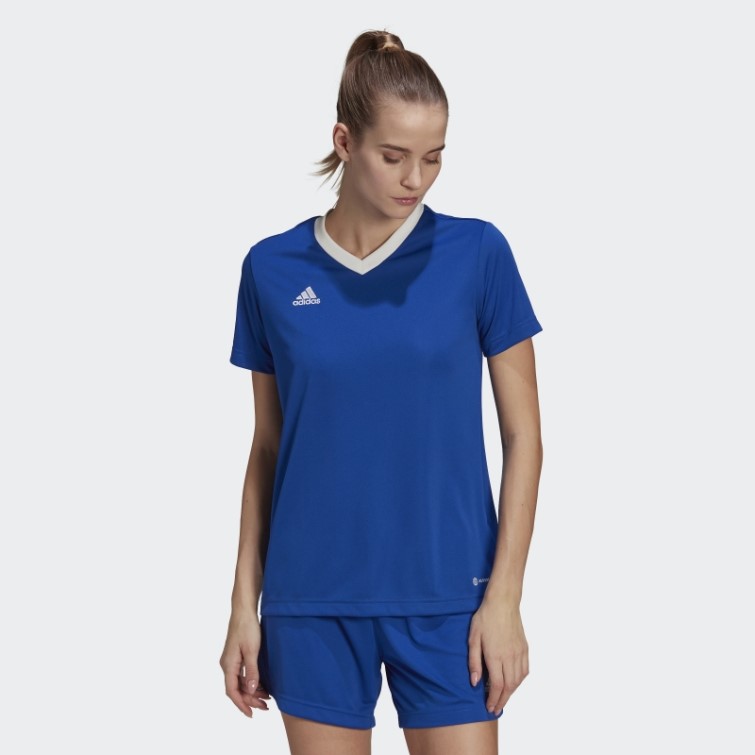 Maillot Adidas Entrada 22 Bleu Royal