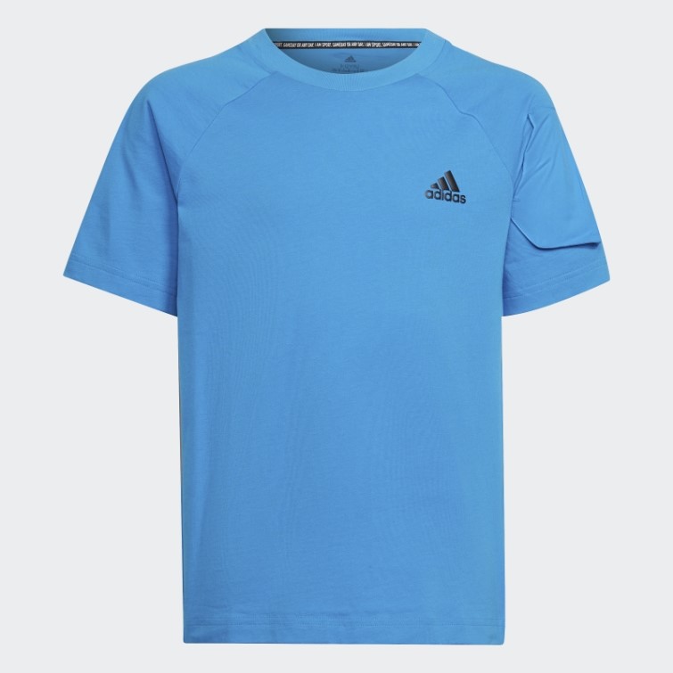 Bleu