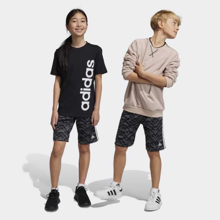 Short De Football Célébration Adidas Gris