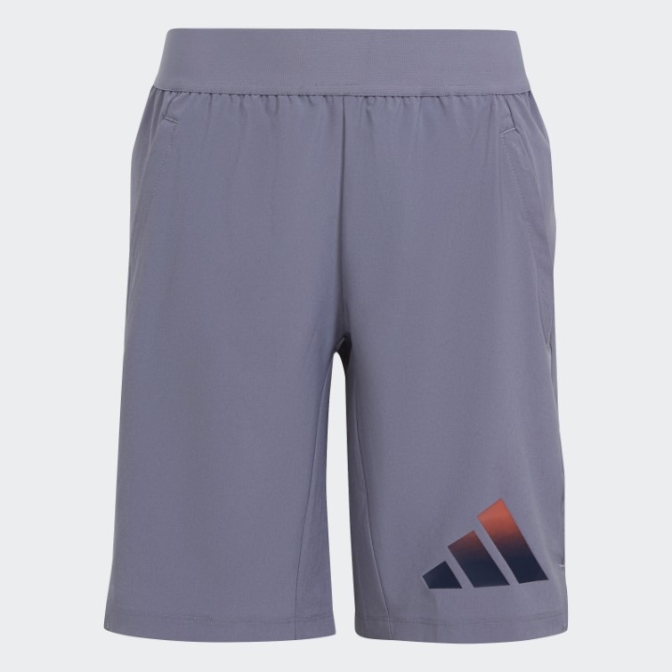 Adidas Train Icons Aeroready Logo Tissé Short Argent Violet